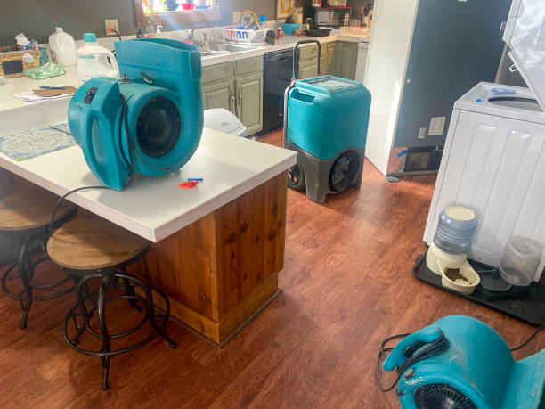 Best Commercial water damage restoration  in Omak, WA