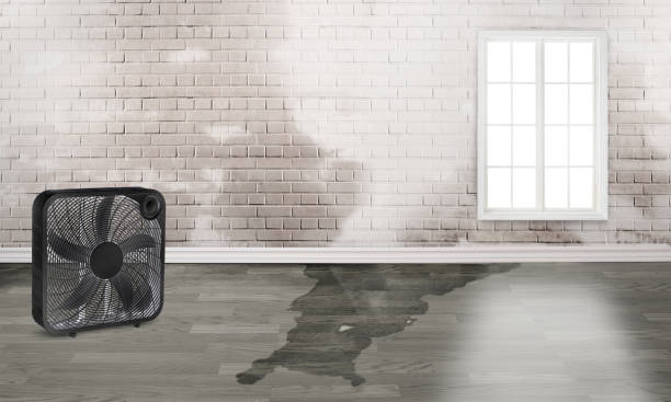 Best Sewage cleanup and water damage restoration  in Omak, WA